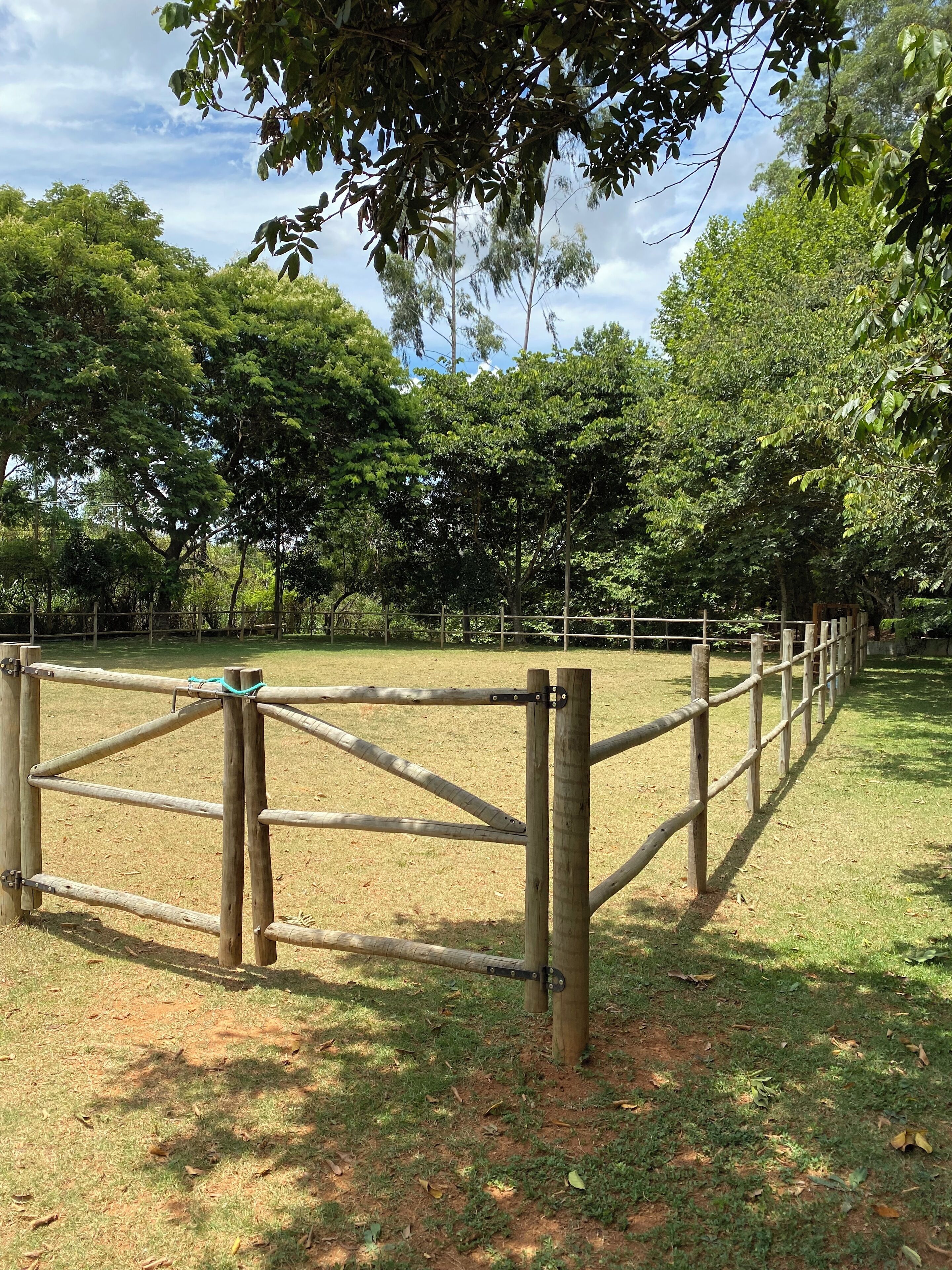 A fenced area with a wooden gate, surrounded by trees and grass.