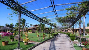 Un sendero bordeado por plantas en macetas y árboles, que conduce a un edificio con techo de paja.