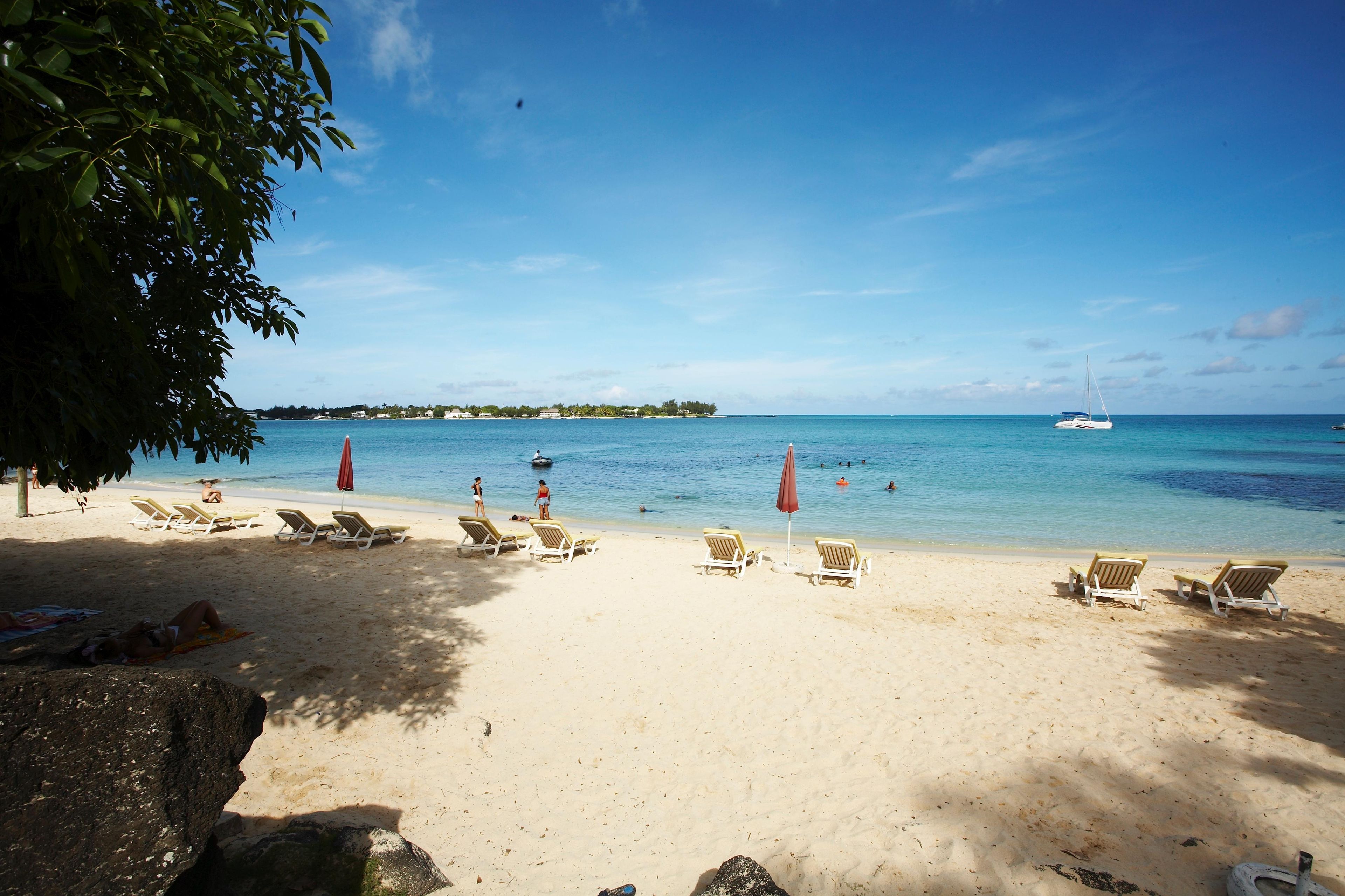 Une plage avec des chaises longues et des parasols, un ciel bleu dégagé et une mer calme.