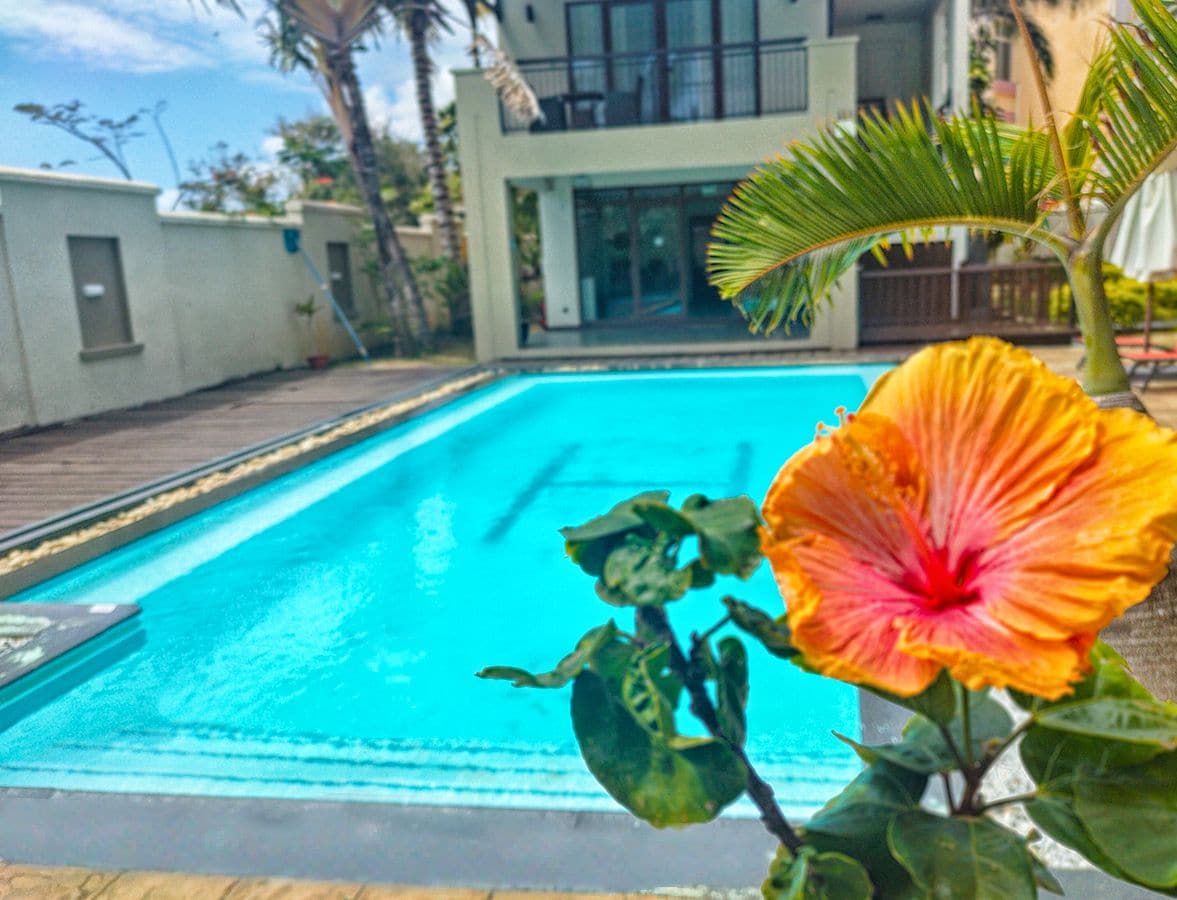 Une piscine avec un fleur d’hibiscus au premier plan.