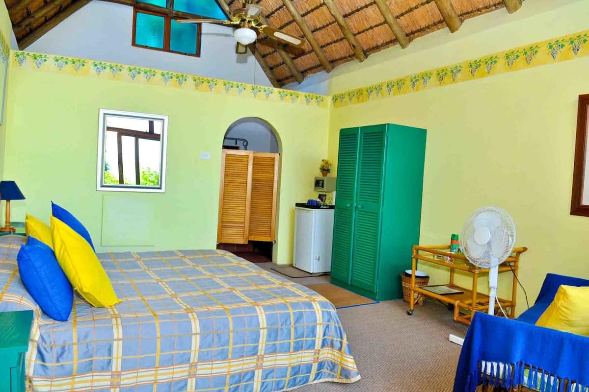Yellow Grape Suite (3) | In-room safe, blackout drapes, individually decorated