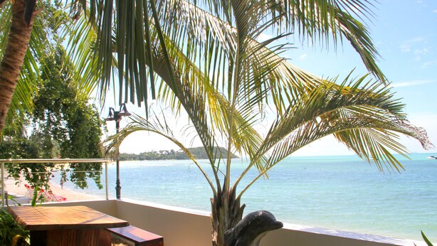 A wooden table and bench by a palm tree overlooking a beach. - The Boardroom Beach Bungalows (Koh Samui)