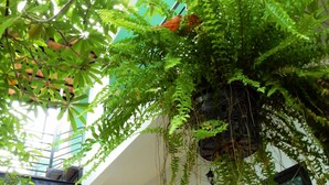 Quang cảnh nhìn từ nơi lưu trú
