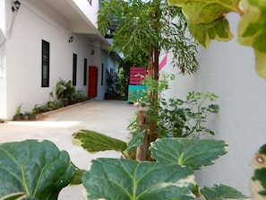 Un patio estrecho con un edificio blanco, una puerta roja y varias plantas.