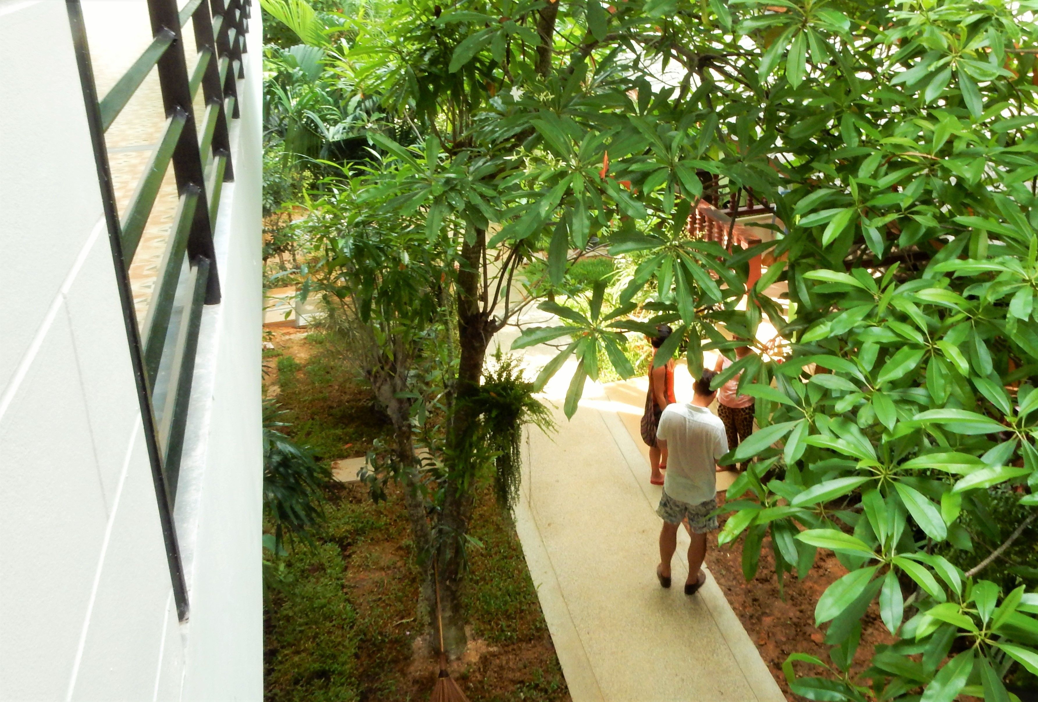 Foto - Wandee Bed & Breakfast