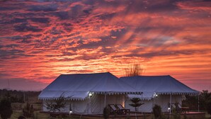 A large white tent with a flat roof, surrounded by a few trees and a grassy area. - Pushkar Adventure Desert Camp (Peesangan)