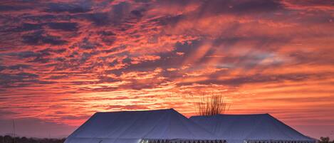 Deluxe Tent, 1 Bedroom, Non Smoking | View from room
