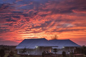 View from room - Pushkar Adventure Desert Camp (Peesangan)