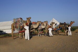 Property entrance - Pushkar Adventure Desert Camp (Peesangan)