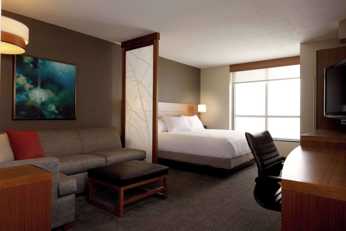 A hotel room with a bed, a sofa, a desk, a chair, a TV, and a window.