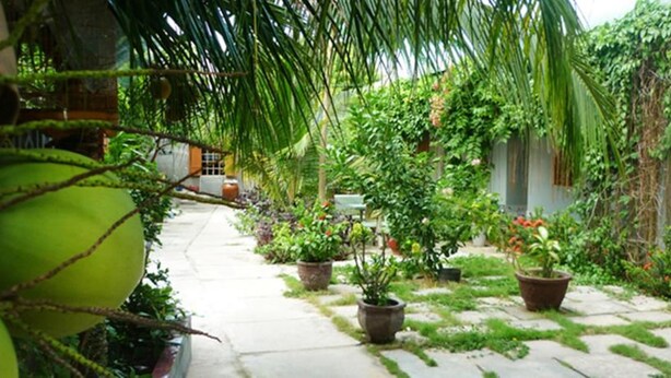 A garden pathway with potted plants and a palm tree. - Minh Anh Garden Hotel (Mui Ne)