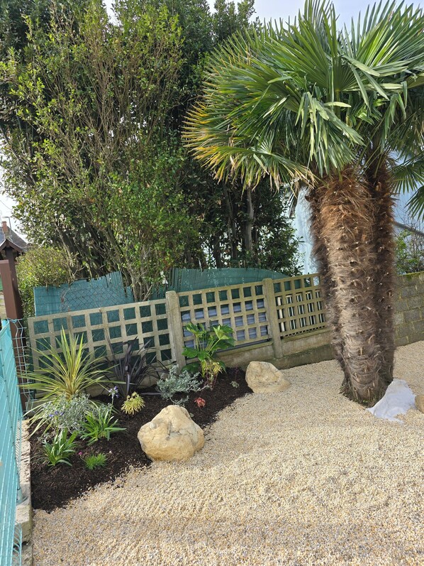 Un jardín con una palmera, diversas plantas, un camino de grava y una valla de madera.