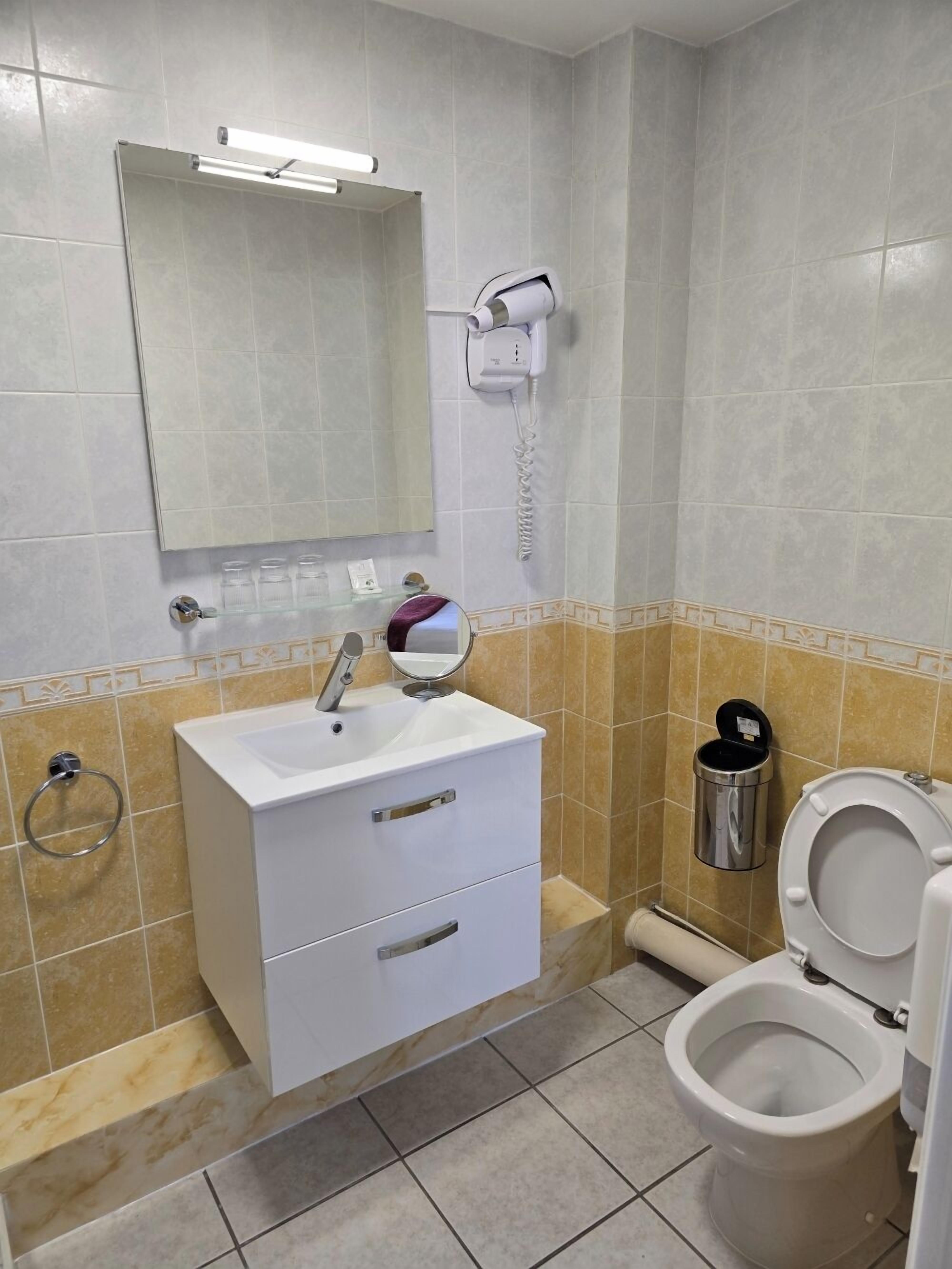 Une salle de bain avec un lavabo blanc, un miroir et des toilettes. Un sèche-cheveux est fixé au mur et une poubelle se trouve à côté des toilettes.