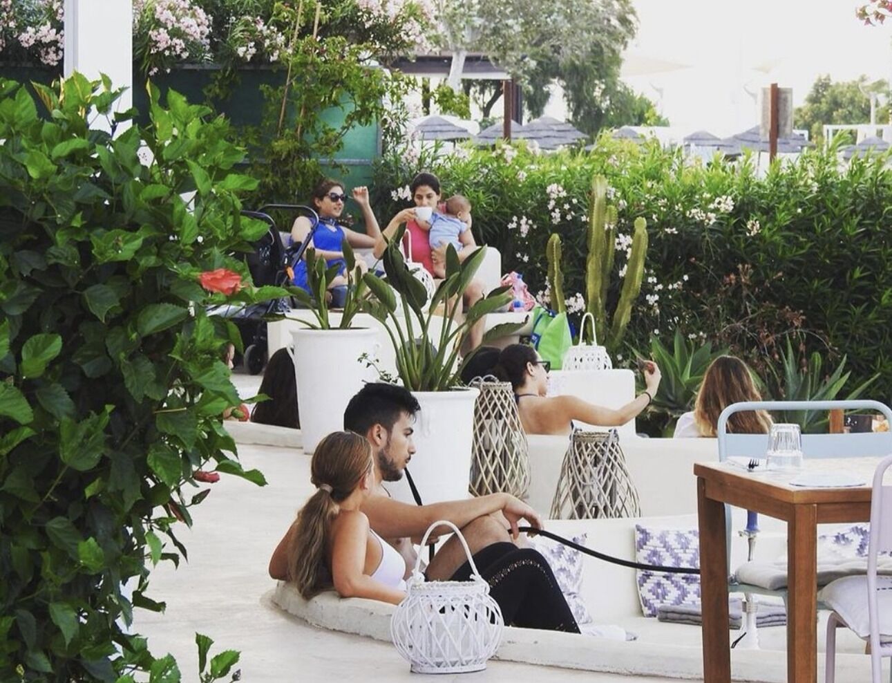 Foto - Blue Peter Apartments