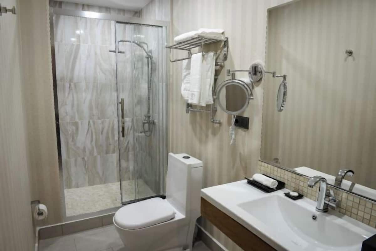 Shower, free toiletries, hair dryer, bathrobes