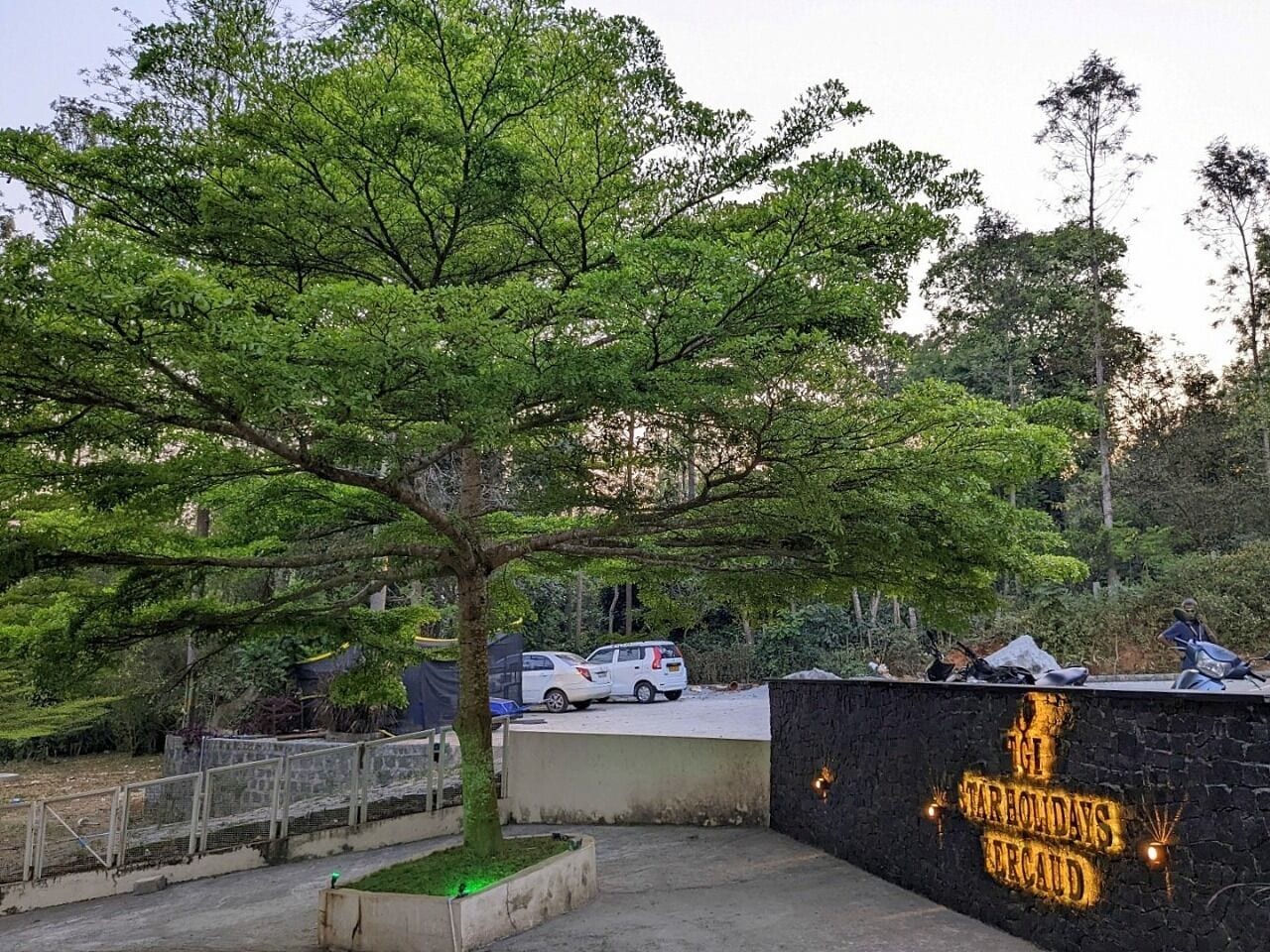 Un espace de stationnement avec un arbre et un mur sur lequel on peut lire : « TGI STARHOLIDAYS, offre spéciale ».