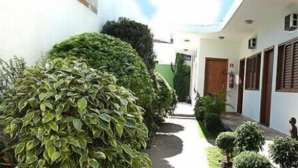 Un sendero estrecho bordeado por abundante vegetación y un edificio con múltiples ventanas y puertas.