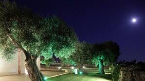 Un espacio exterior iluminado en la noche con árboles, luces verdes, un camino pavimentado y un muro de piedra.