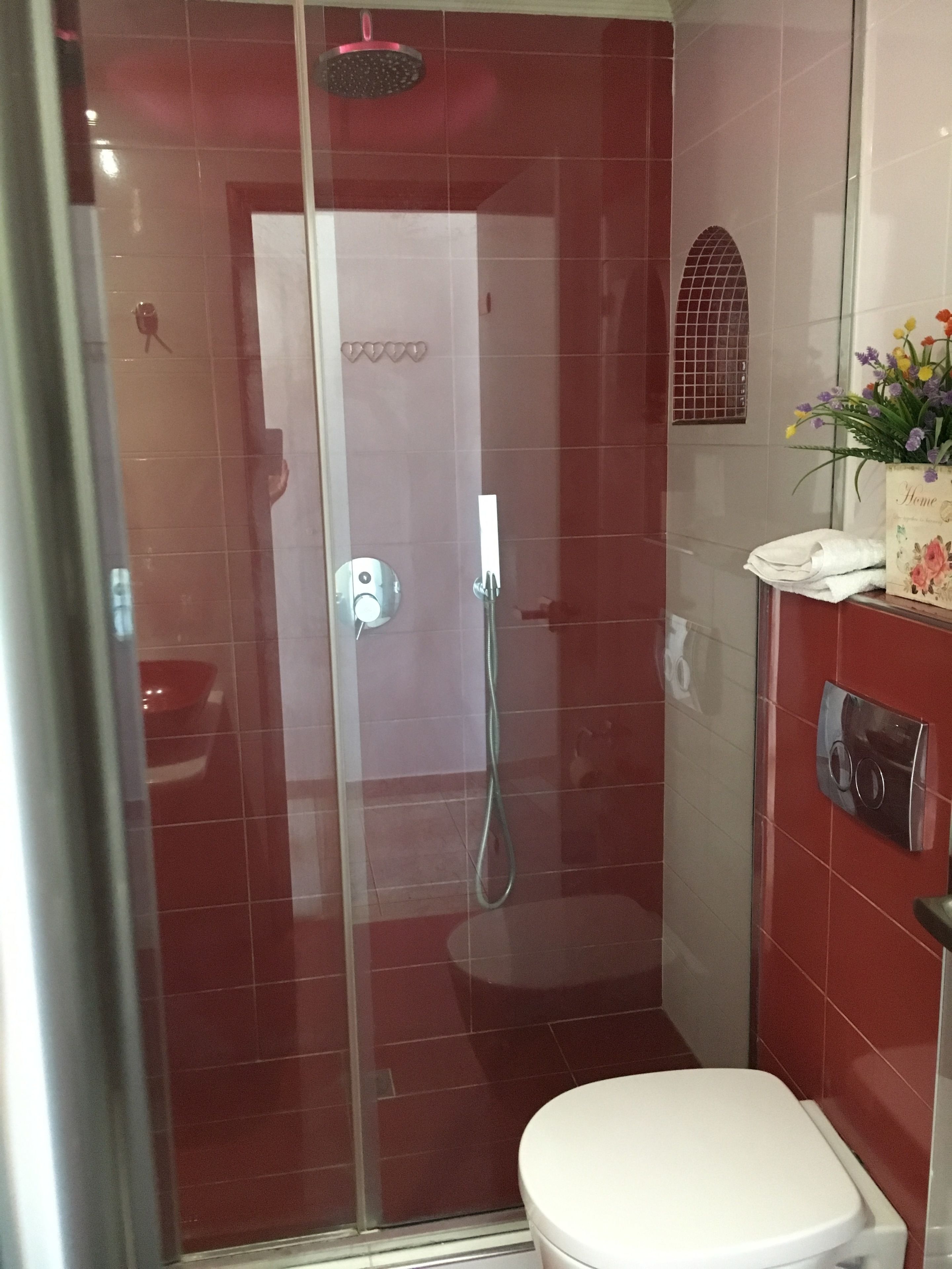 A modern bathroom with a glass-enclosed shower, a white toilet, and a small decorative shelf with flowers.