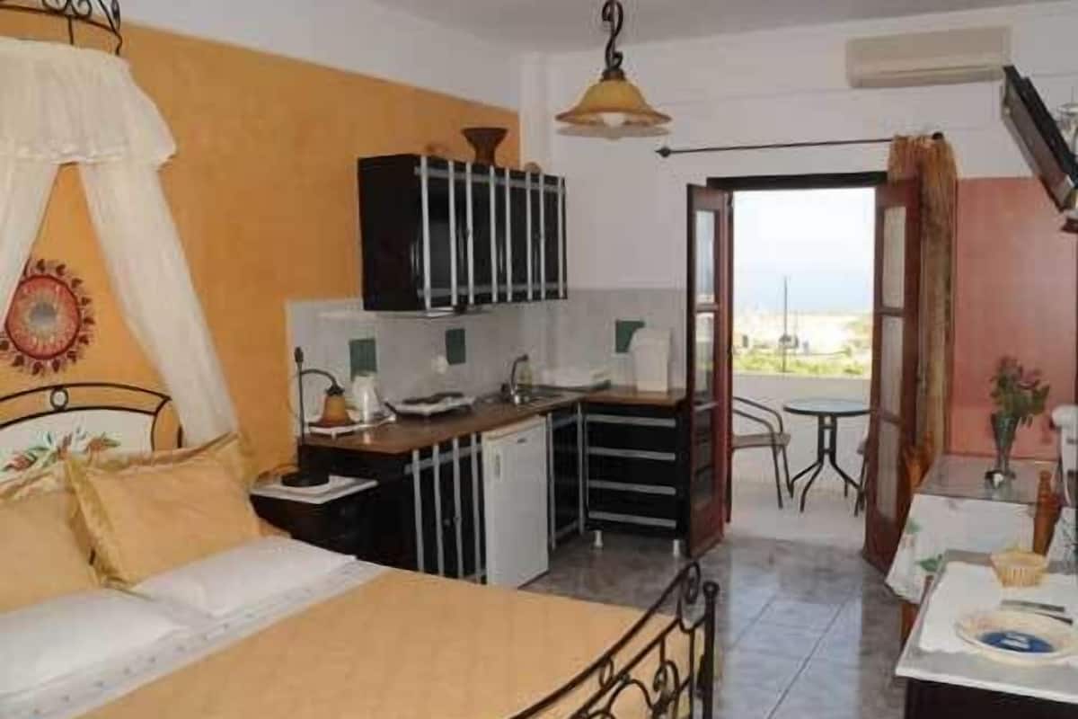 A compact room with a bed, kitchenette, and a view through an open door.