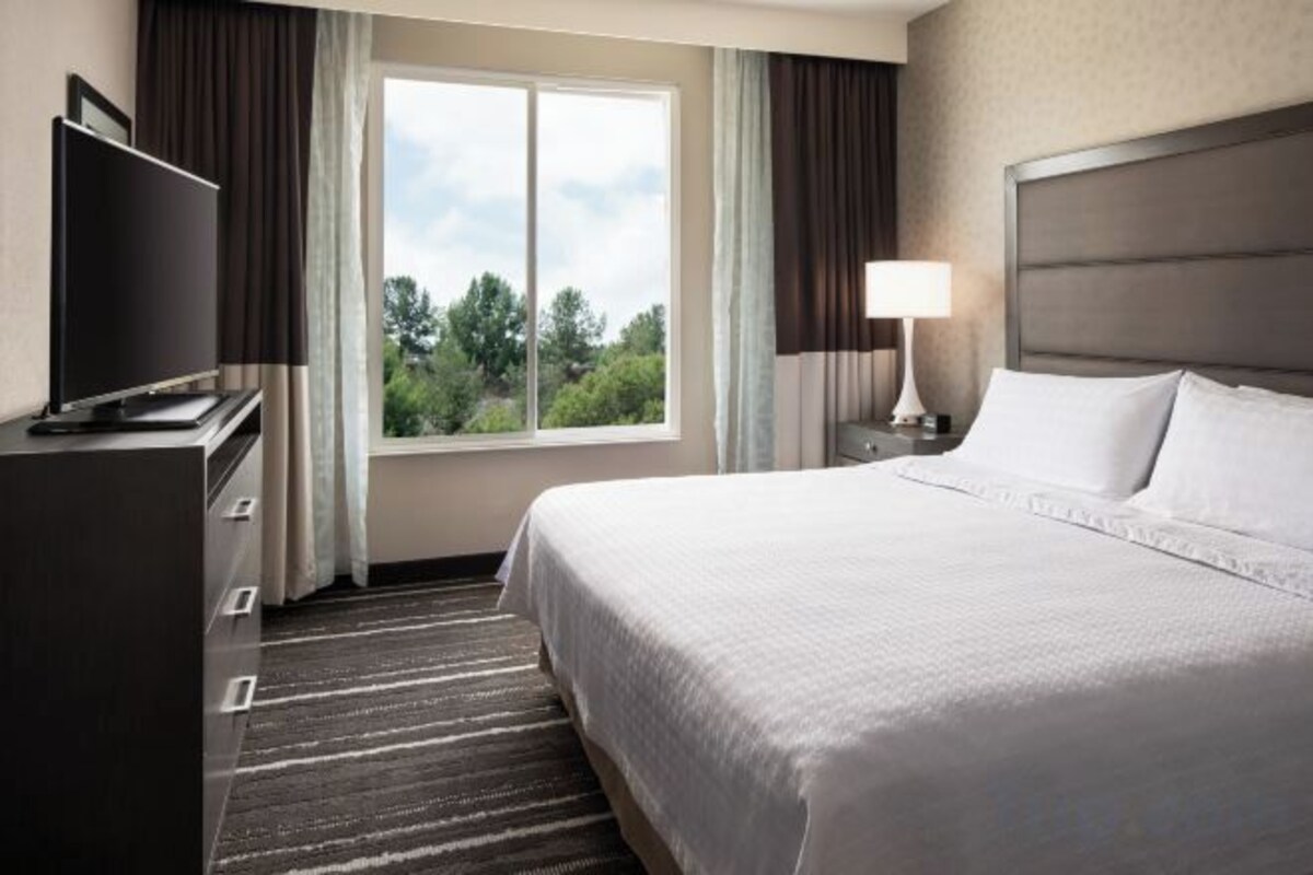 A hotel room with a bed, a TV, a desk, a window with curtains, and a nightstand with a lamp.
