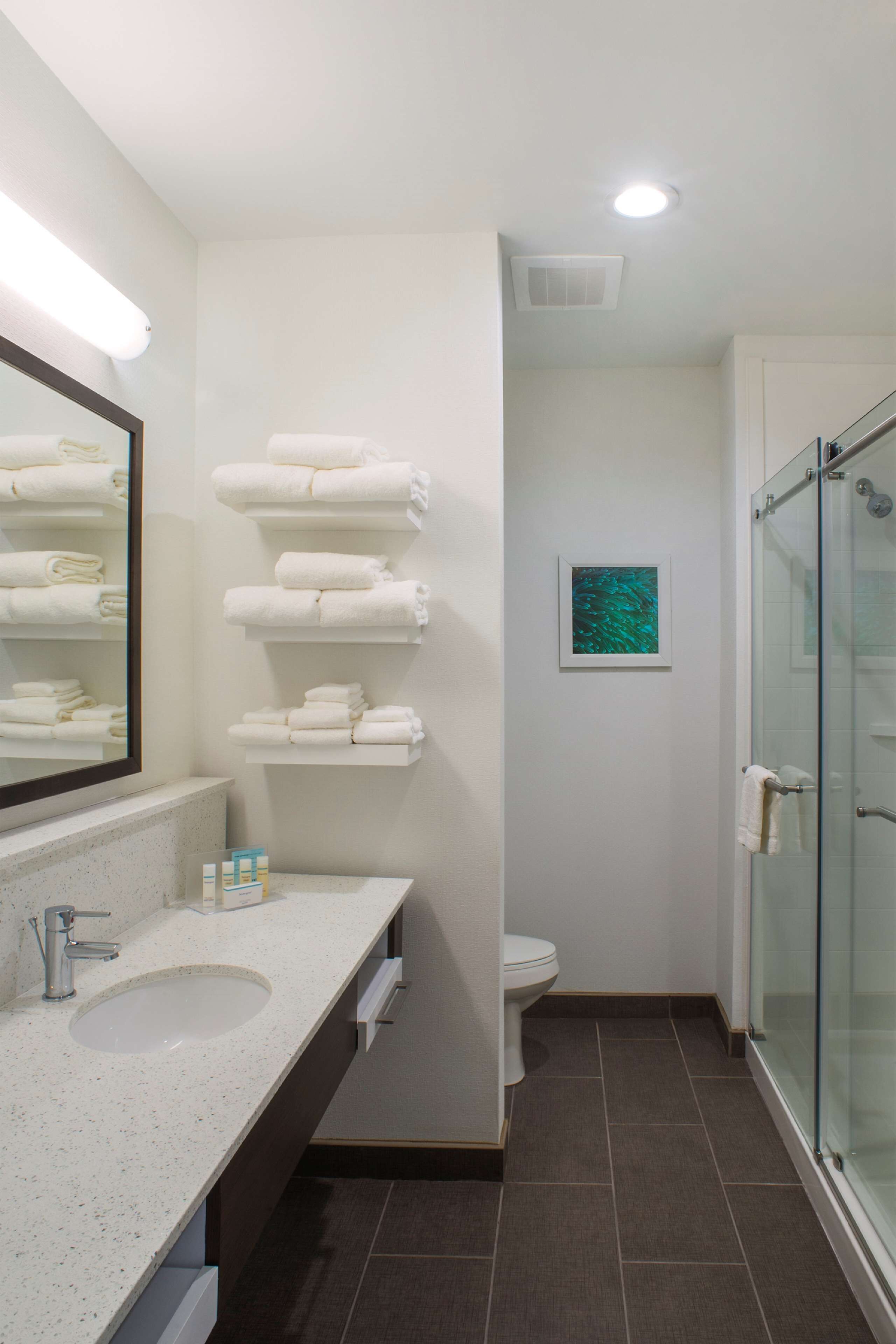 combined shower/bathtub, free toiletries, hair dryer, towels