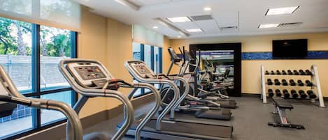 A gym with treadmills, dumbbells, and exercise equipment.