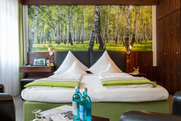 Standard Double Room | Hypo-allergenic bedding available, down comforters, in-room safe