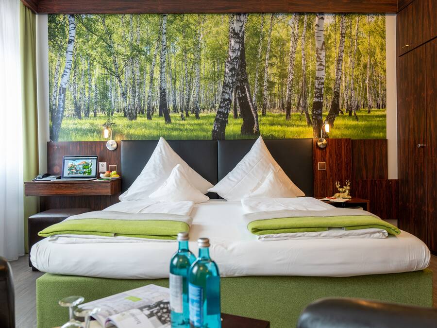 Standard Double Room | Hypo-allergenic bedding, down comforters, in-room safe, soundproofing
