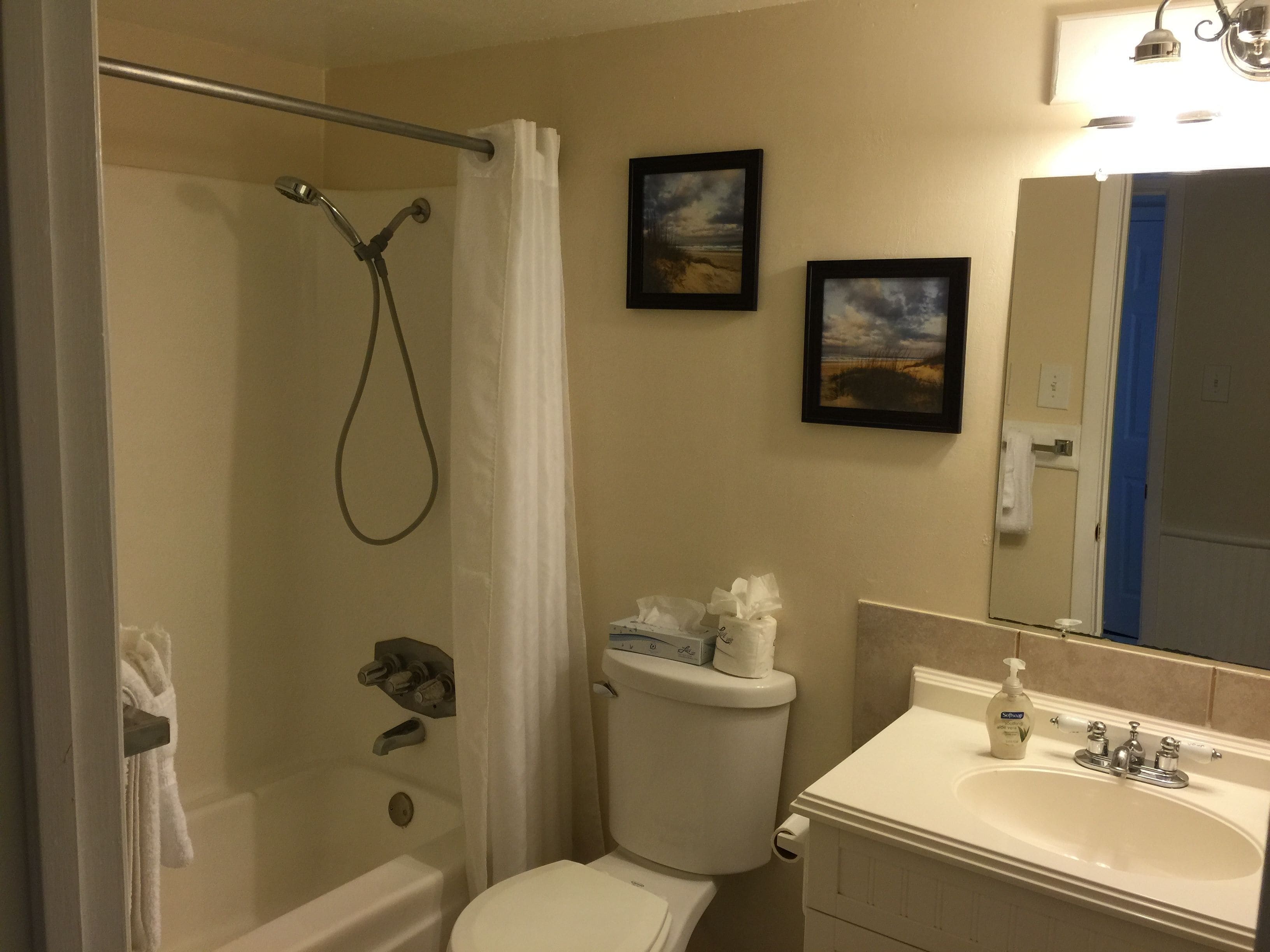 A bathroom with a shower, toilet, sink, and two framed pictures on the wall.