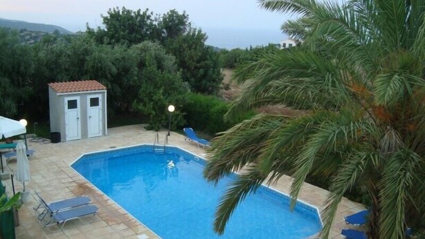 A rectangular swimming pool with a tiled deck, surrounded by palm trees and a small shed. - Socrates Apartments (Neo Chorio)