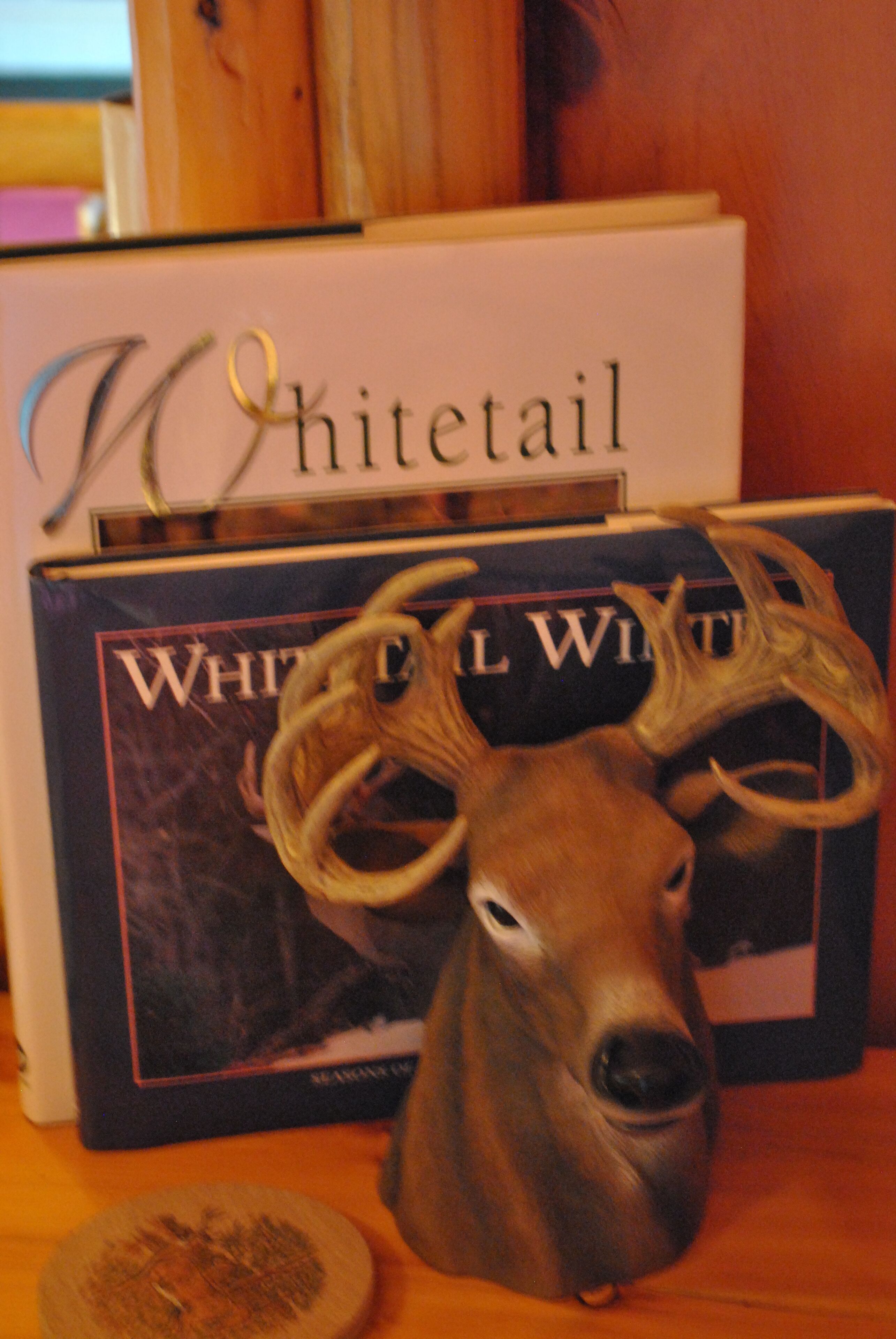 A book titled 'Whitetail' with a deer head decoration on a wooden surface.