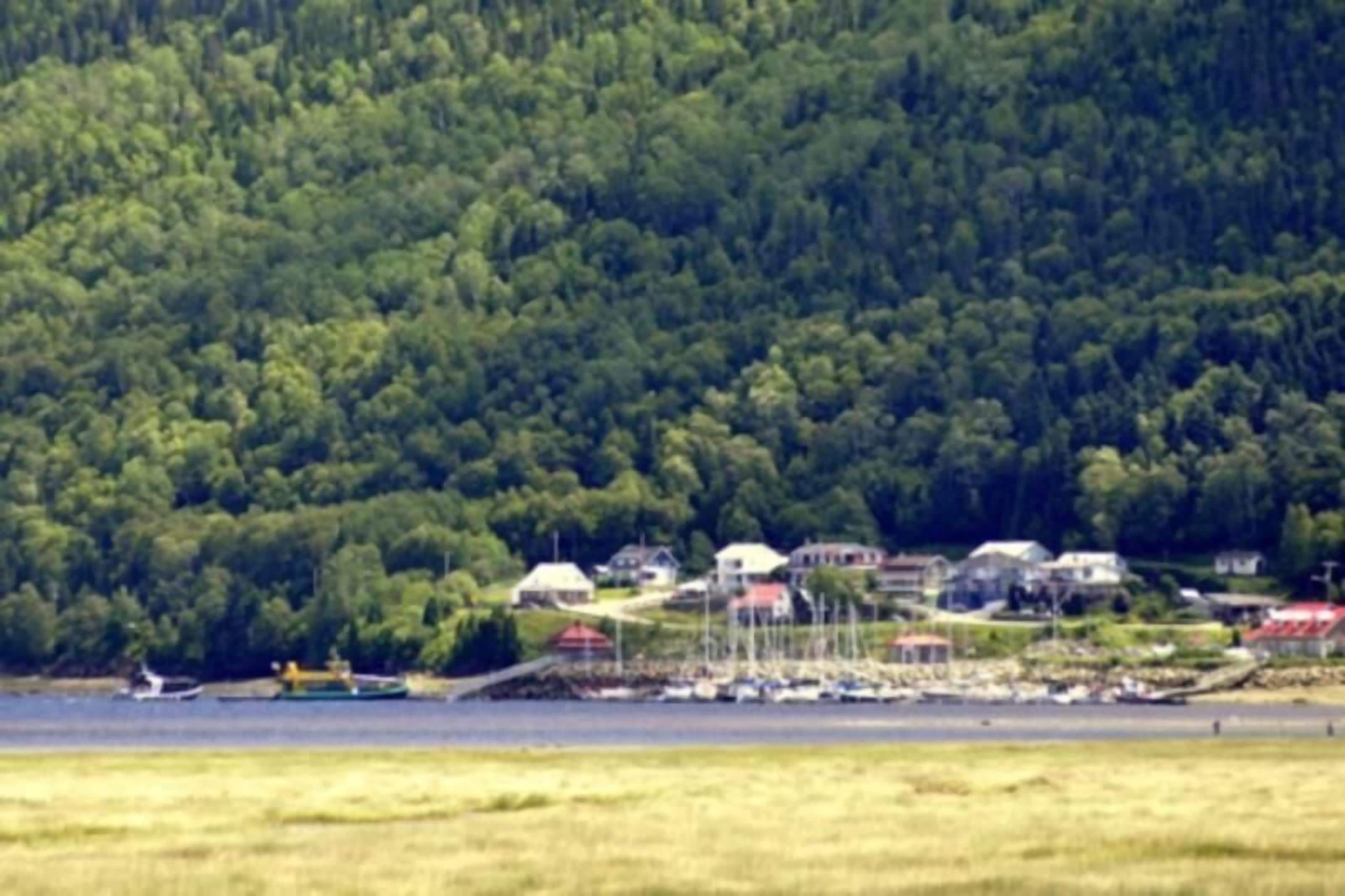 A coastal village with houses, a marina, and dense forest in the background.