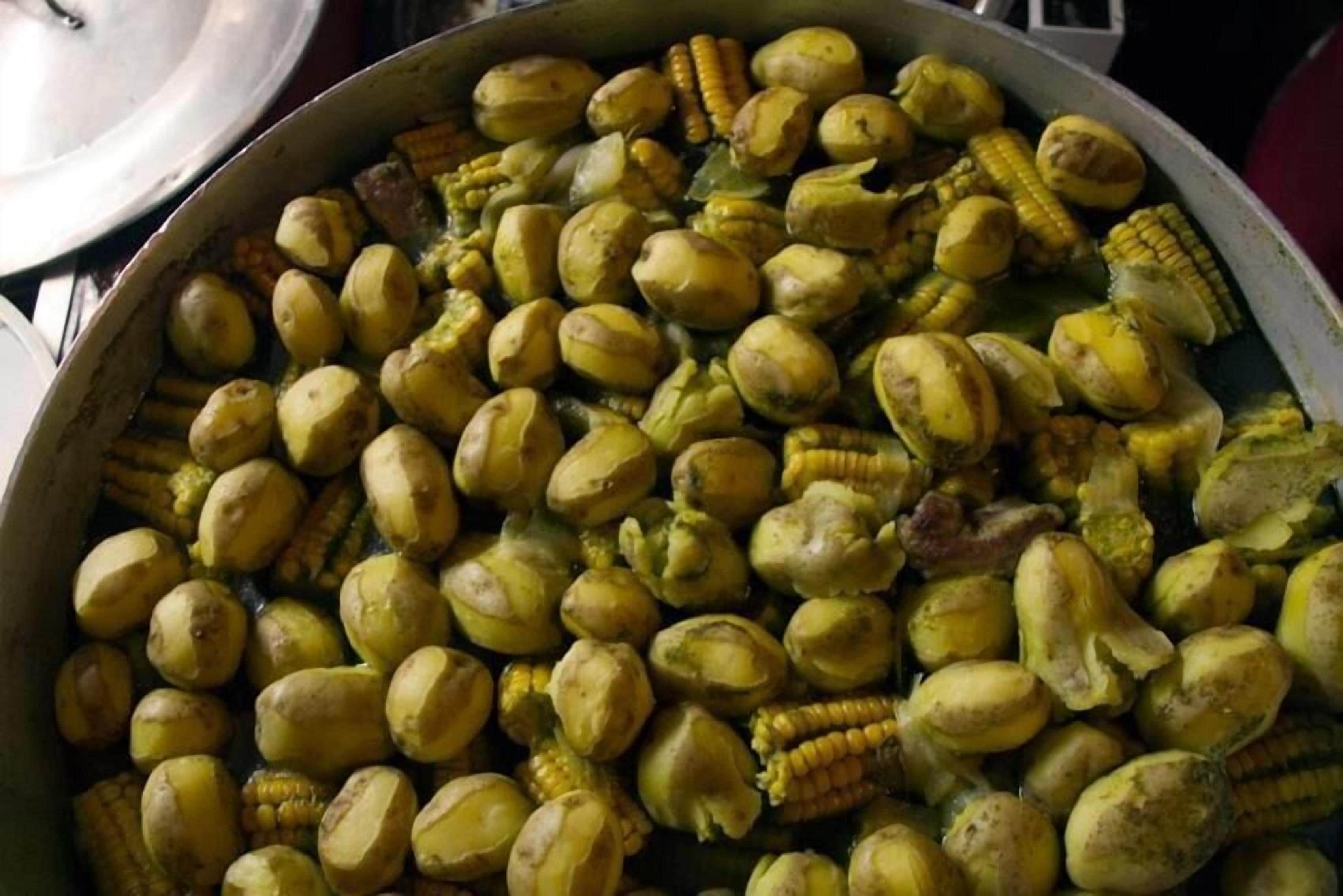 A large pot filled with corn on the cob and potatoes.