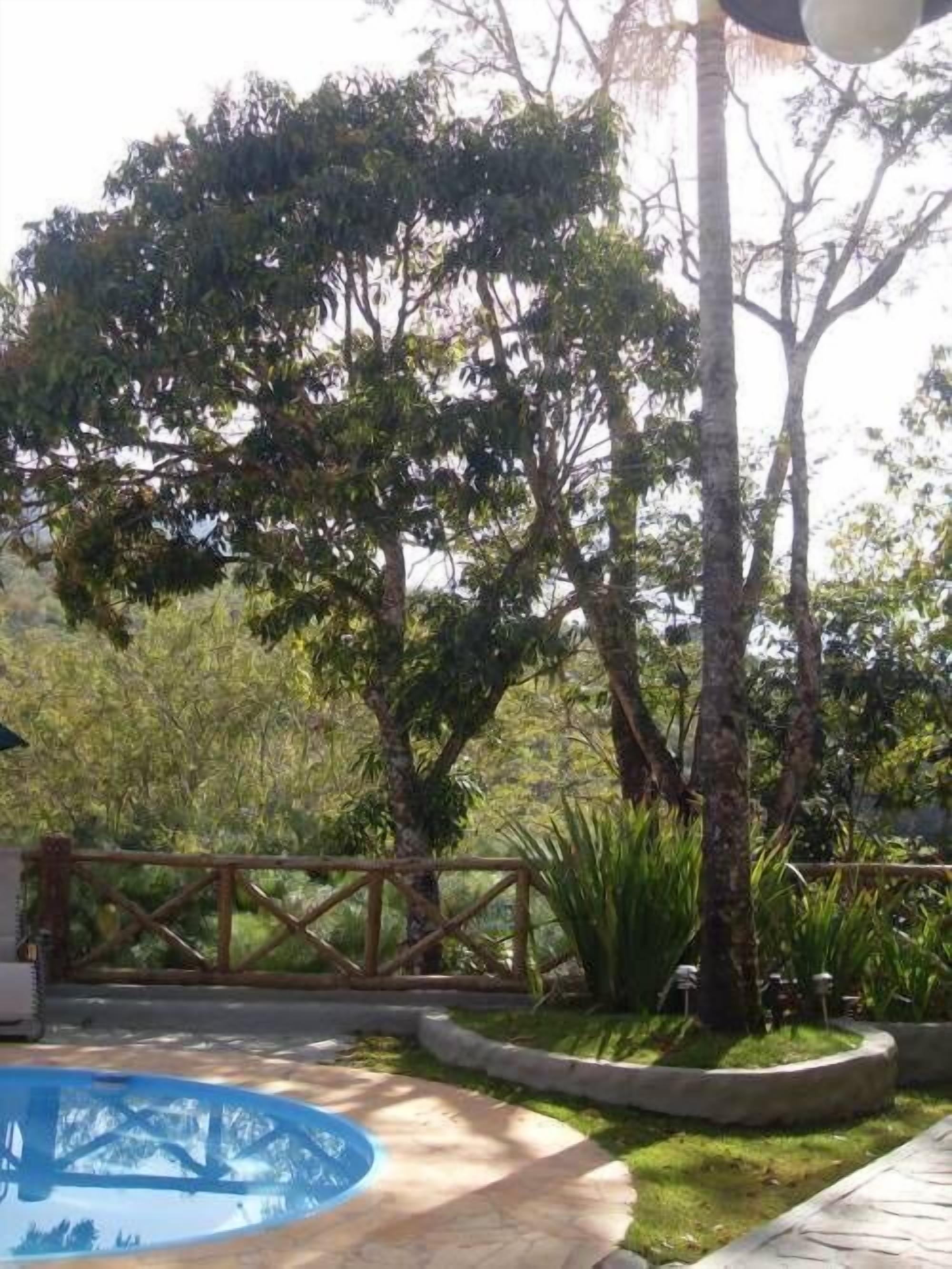 A pool surrounded by a wooden fence and lush greenery.
