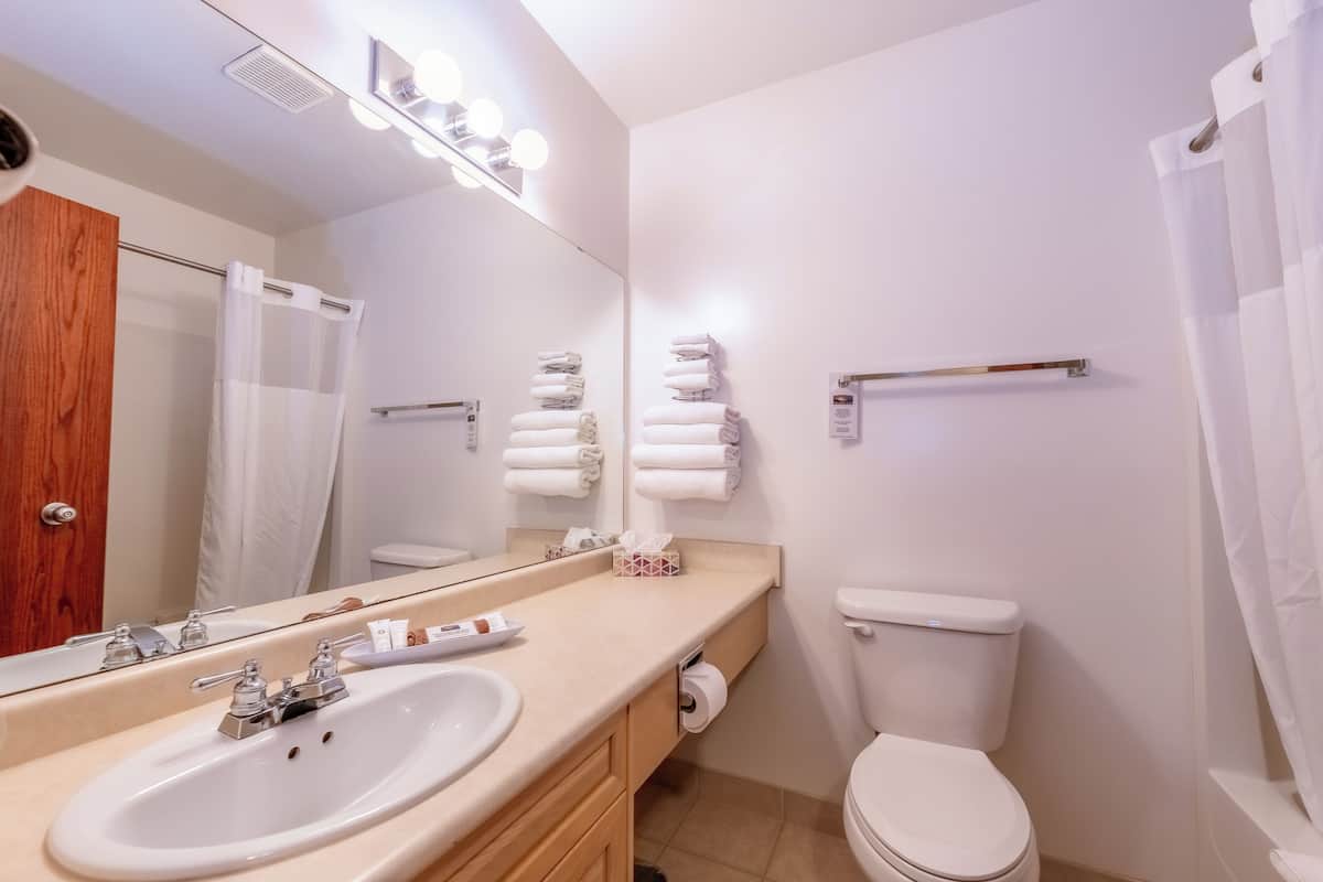 Combined shower/tub, free toiletries, hair dryer, towels
