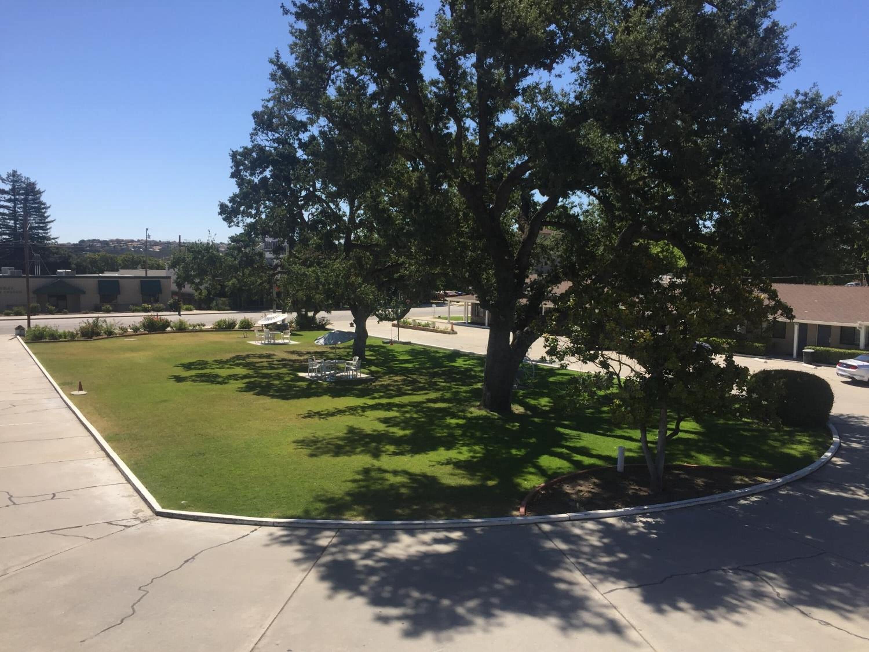 A landscaped area with a lawn, trees, and outdoor seating.