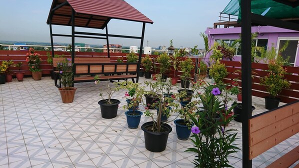 Un jardín en la azotea con plantas en macetas y un banco de madera.