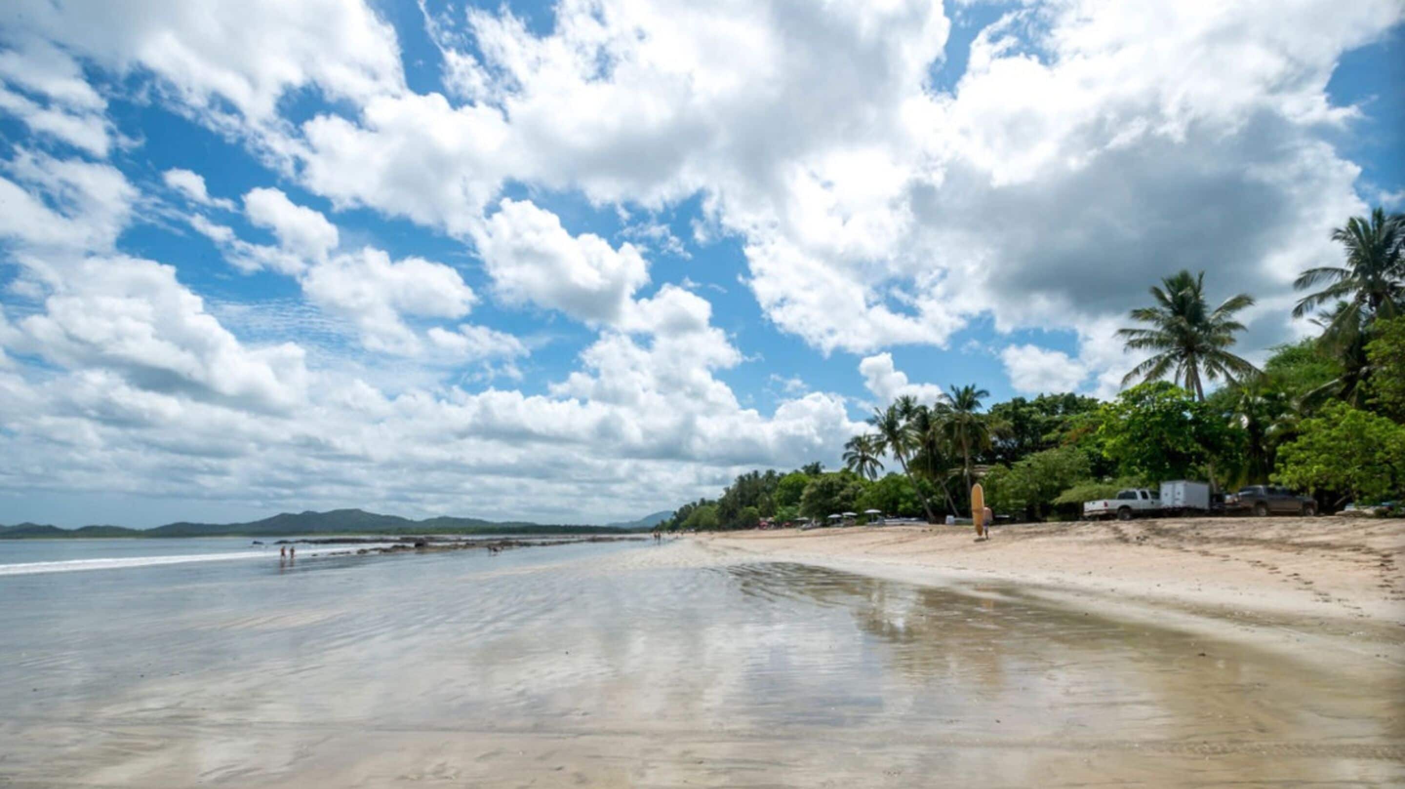 A beach with a clear sky, palm trees, and a sandy shore.
