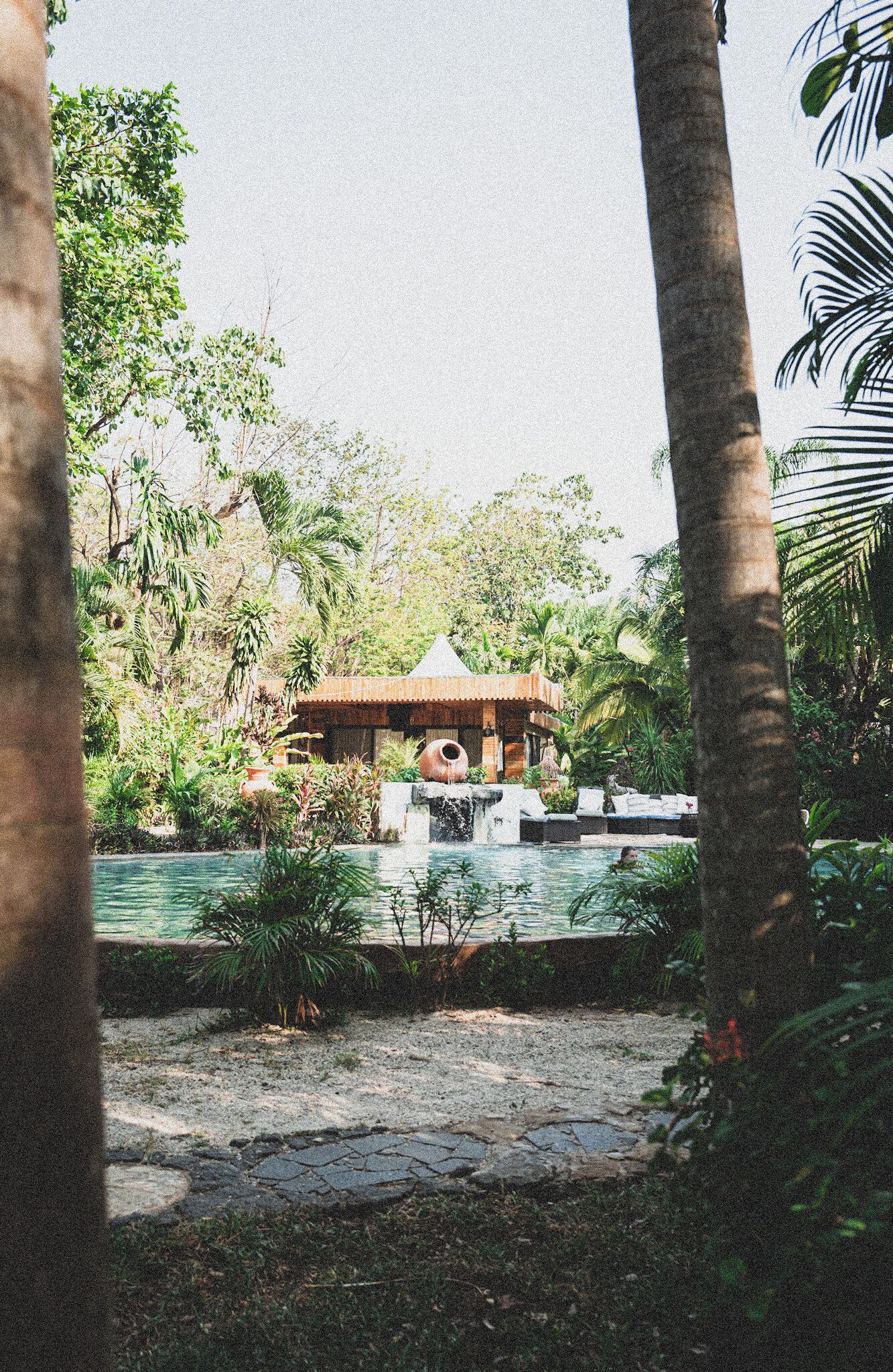 Hồ bơi