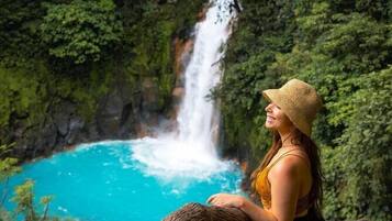 A person sitting on a tree branch overlooking a waterfall and a turquoise pool.