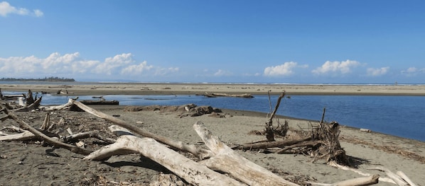 A beach with driftwood and a calm sea under a clear sky. - Diquis Del Sur (Ciudad Cortés)