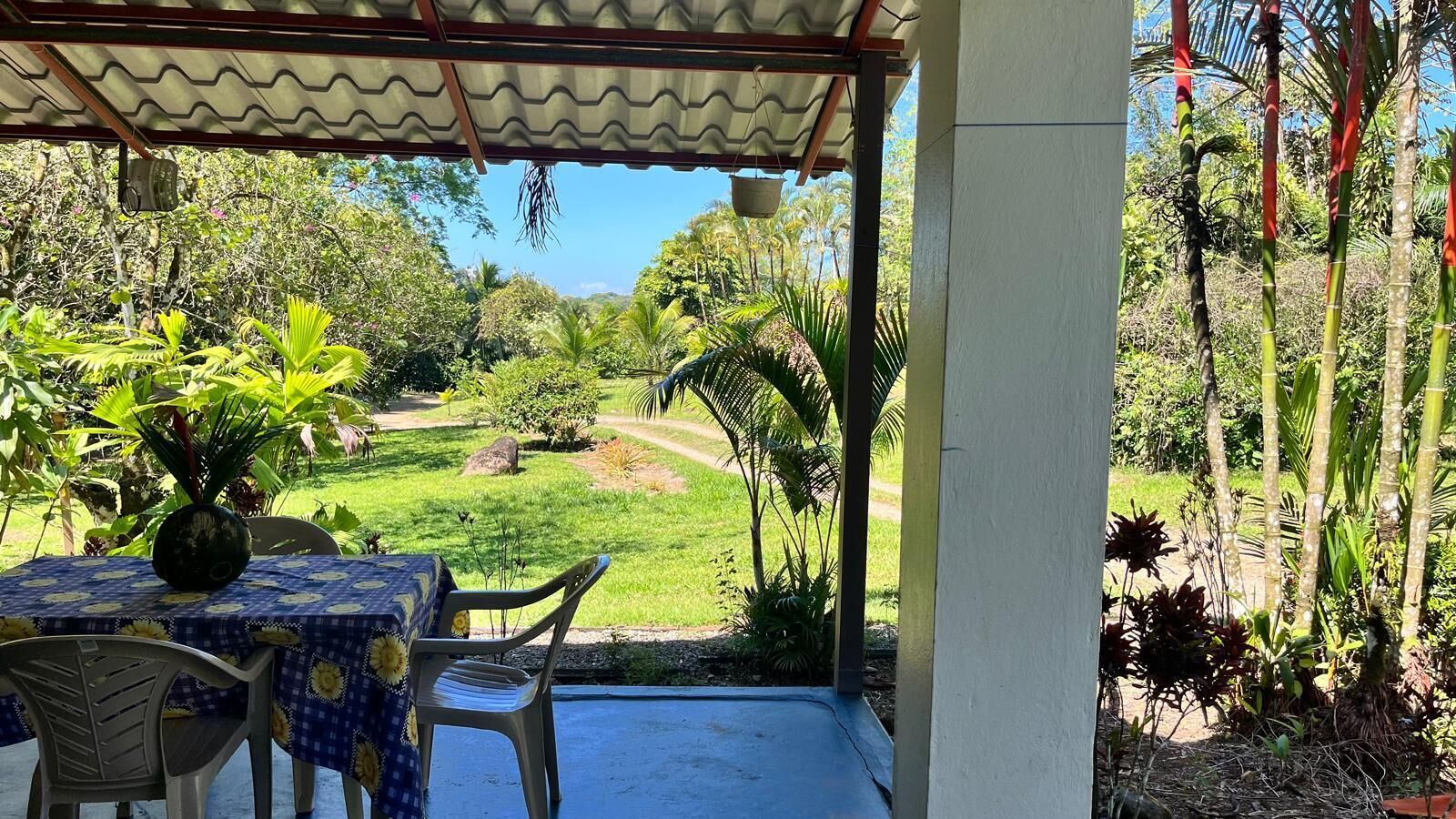 A covered outdoor seating area with a table and chairs, overlooking a garden with various plants and a clear view of the surrounding landscape.