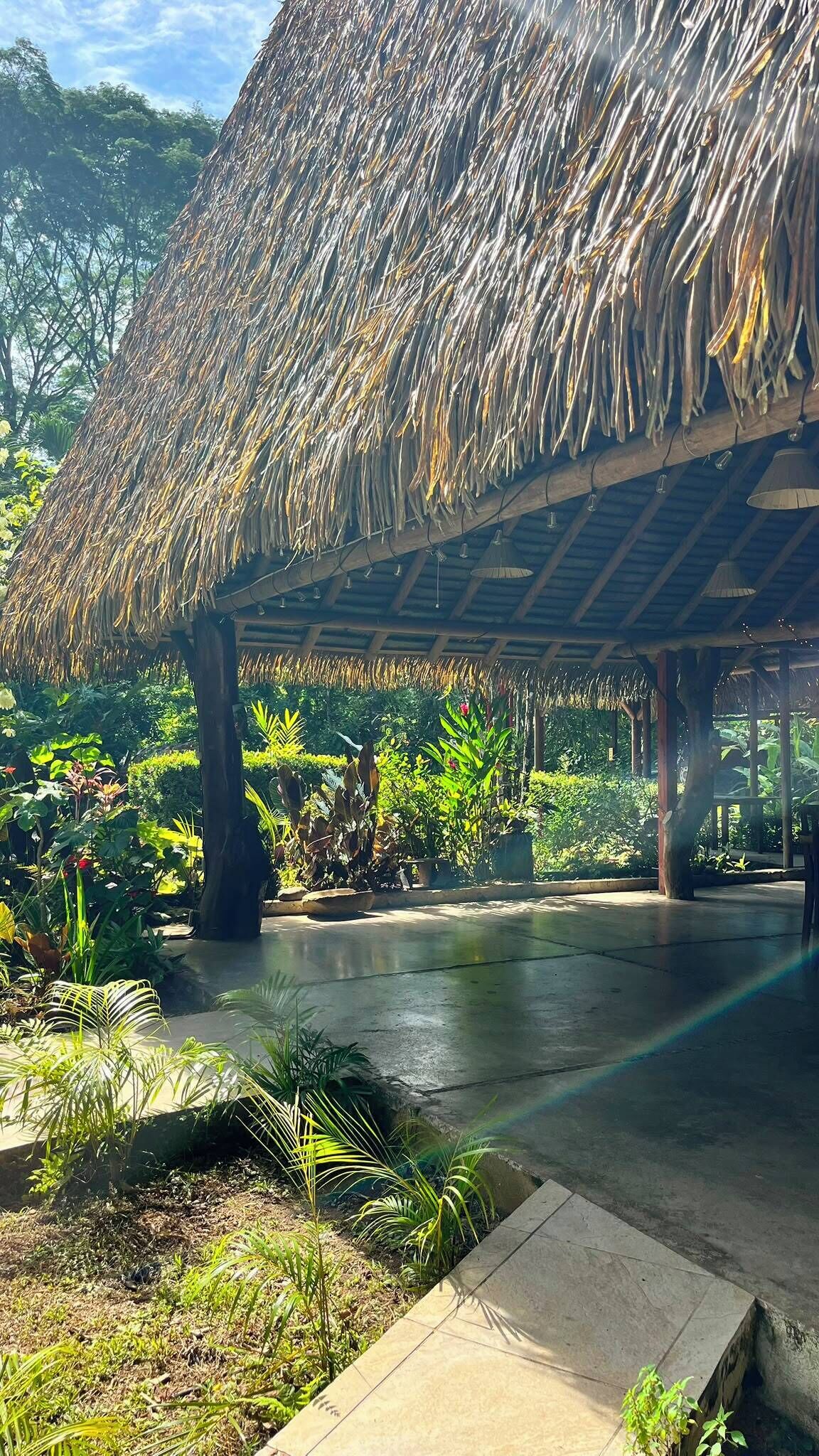 A covered outdoor area with a thatched roof, surrounded by lush greenery and potted plants.