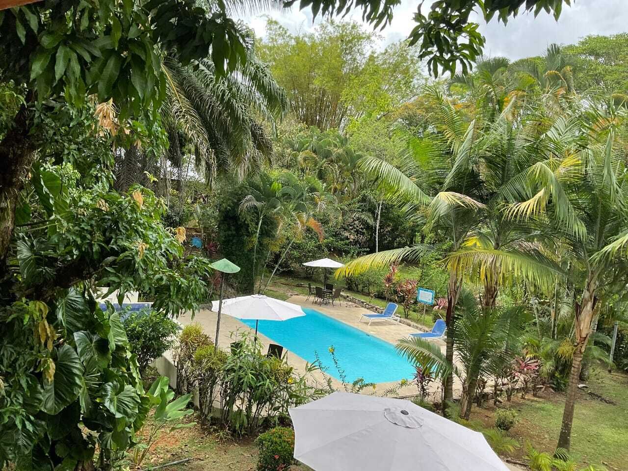 land view from property