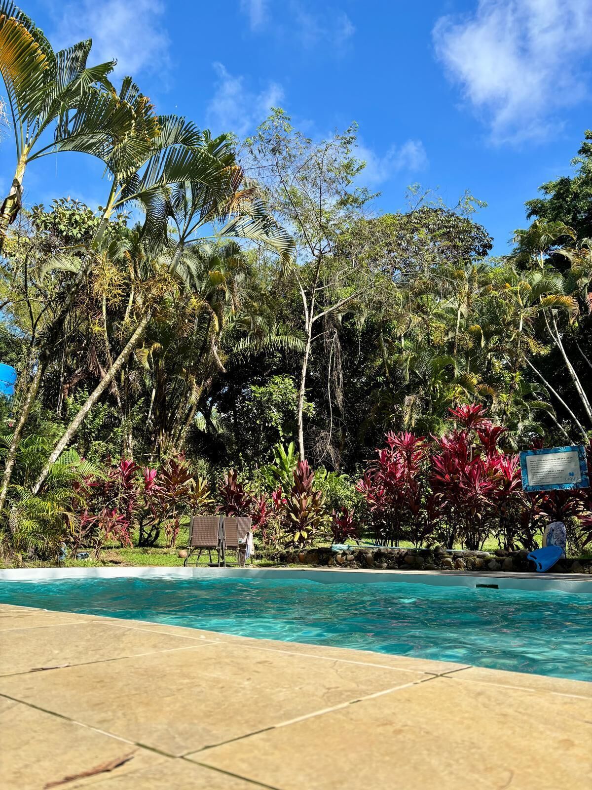 A swimming pool with a tiled edge, surrounded by lush tropical vegetation and a clear blue sky.