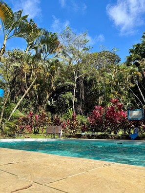 A swimming pool with a tiled edge, surrounded by lush tropical vegetation and a clear blue sky. - Diquis Del Sur (Ciudad Cortés)