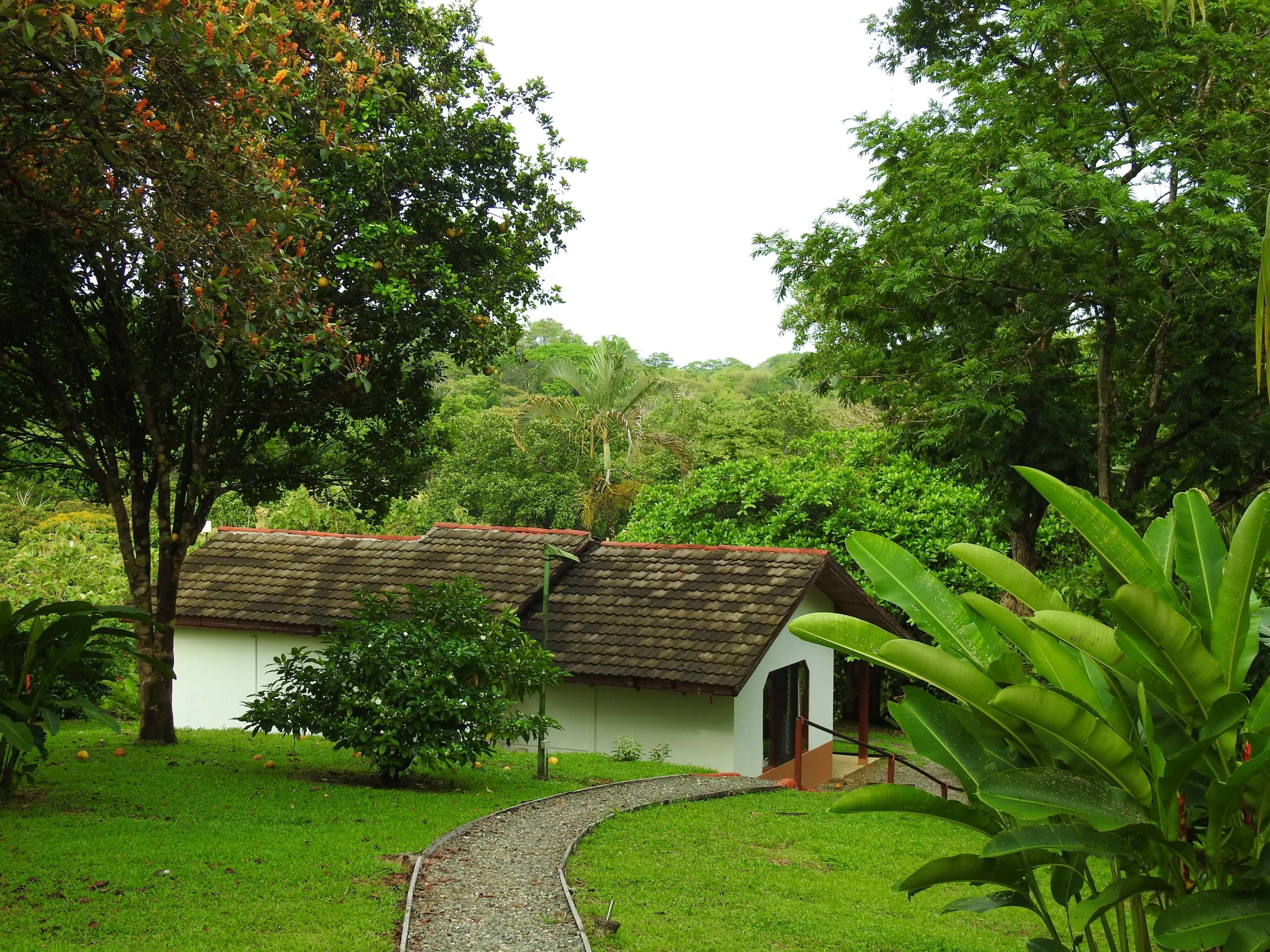 Premium bedding, individually decorated, free cribs/infant beds