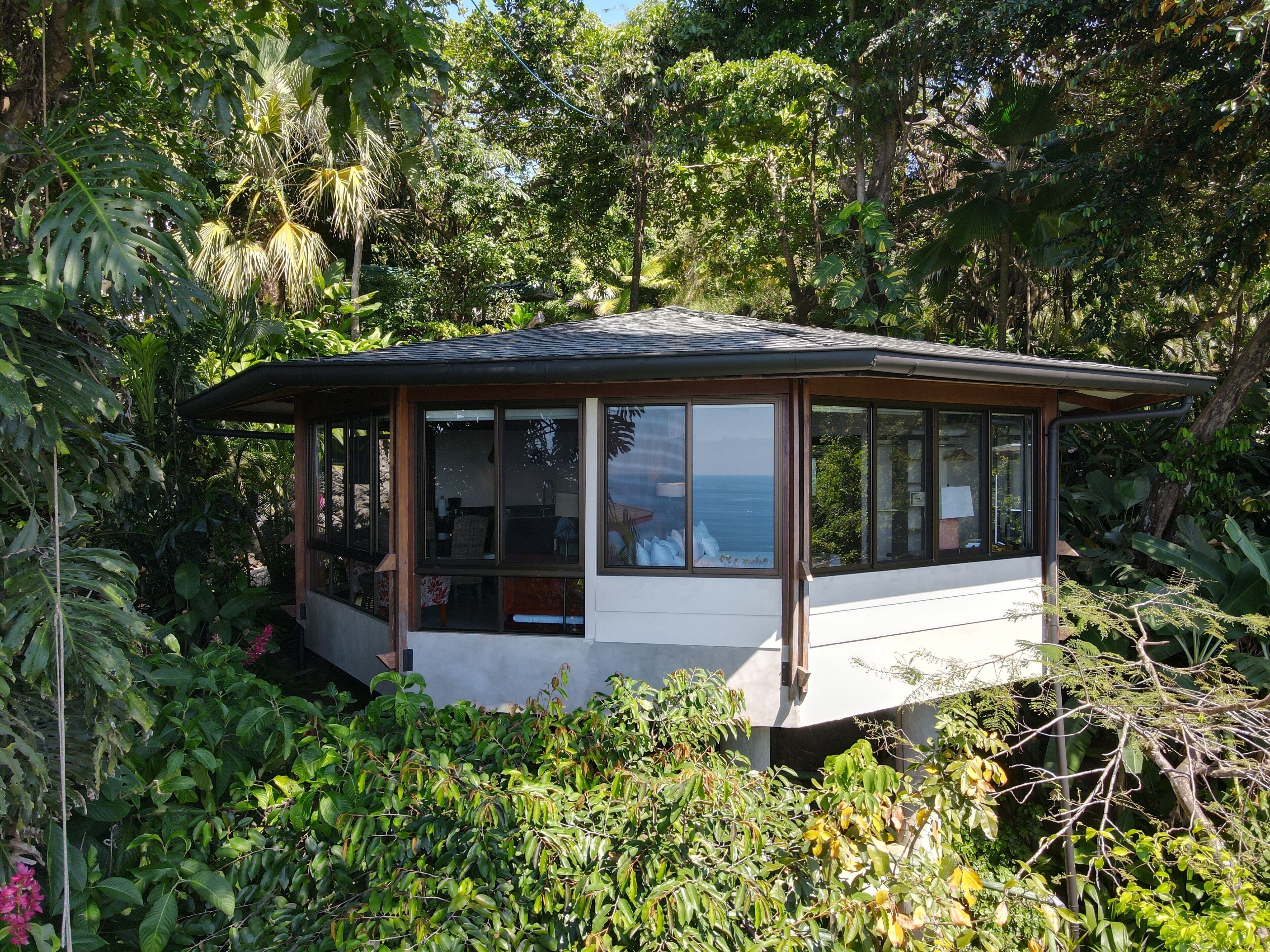 Una casa pequeña y moderna con ventanas grandes, rodeada de exuberante vegetación tropical.