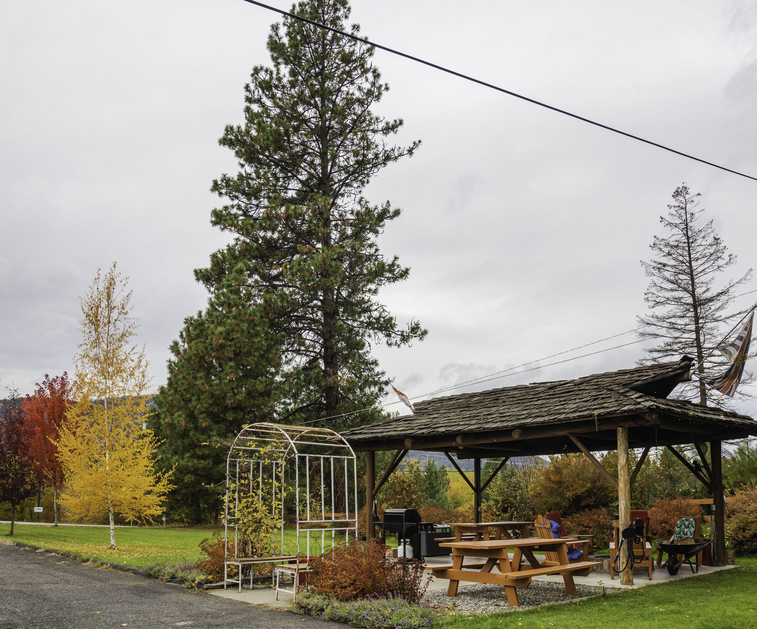 A gazebo with picnic tables, a metal garden structure, and a tall pine tree.